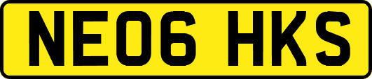 NE06HKS