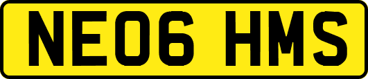 NE06HMS
