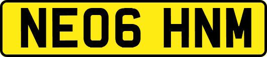 NE06HNM