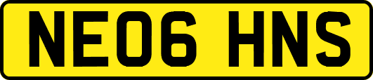 NE06HNS