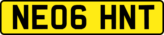 NE06HNT
