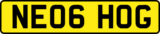 NE06HOG
