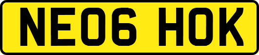 NE06HOK