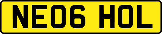 NE06HOL