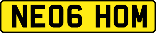 NE06HOM