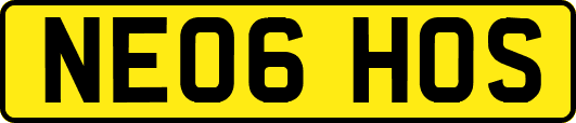 NE06HOS