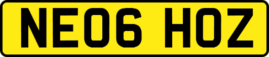 NE06HOZ