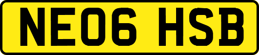 NE06HSB