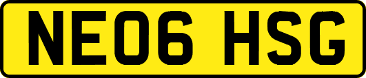 NE06HSG