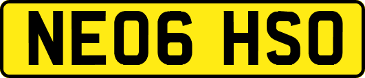 NE06HSO