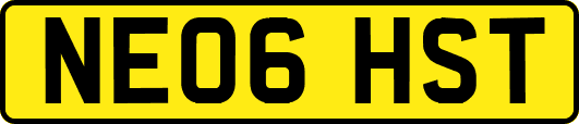 NE06HST