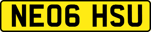 NE06HSU