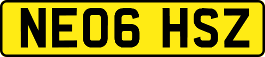 NE06HSZ