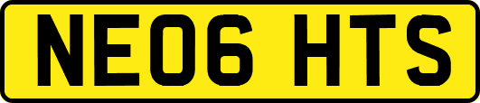 NE06HTS