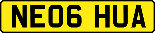 NE06HUA