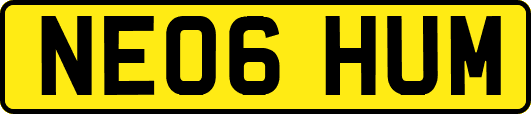 NE06HUM