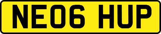 NE06HUP