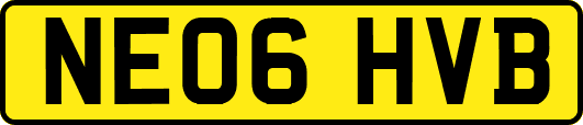 NE06HVB