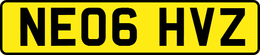 NE06HVZ