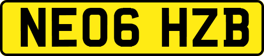 NE06HZB