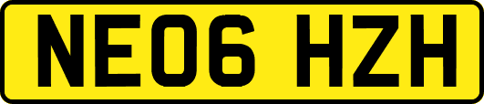 NE06HZH