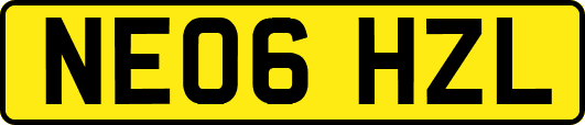 NE06HZL