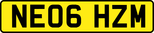 NE06HZM