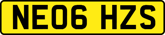 NE06HZS