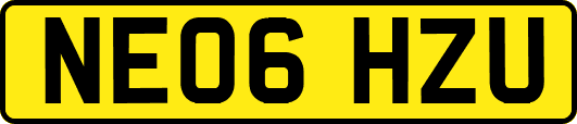 NE06HZU