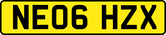 NE06HZX