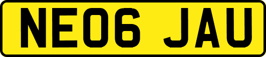 NE06JAU