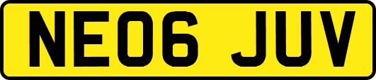 NE06JUV