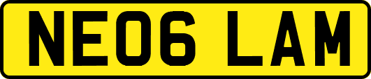 NE06LAM