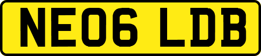 NE06LDB