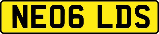 NE06LDS