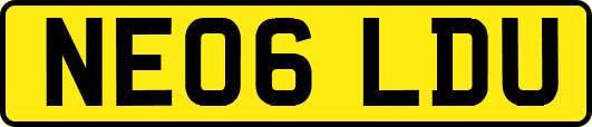 NE06LDU