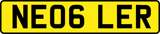 NE06LER