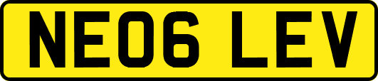 NE06LEV