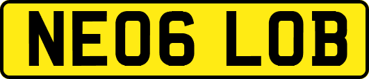 NE06LOB
