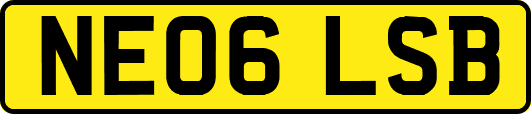NE06LSB