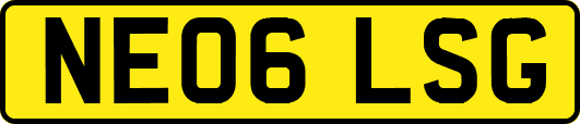 NE06LSG