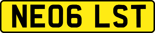 NE06LST