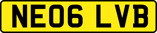 NE06LVB