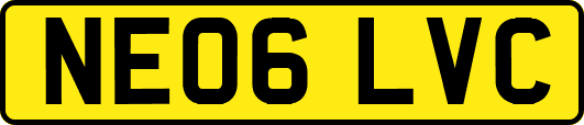 NE06LVC