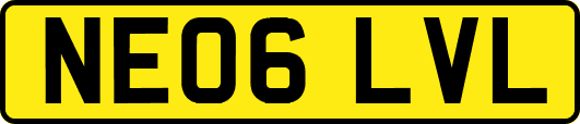 NE06LVL