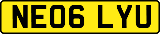 NE06LYU