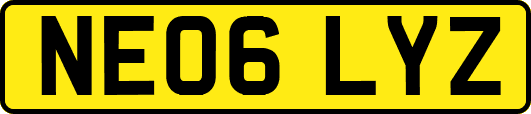 NE06LYZ