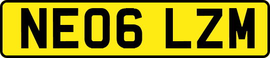 NE06LZM