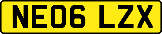 NE06LZX