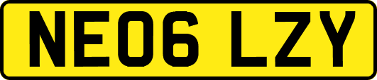 NE06LZY